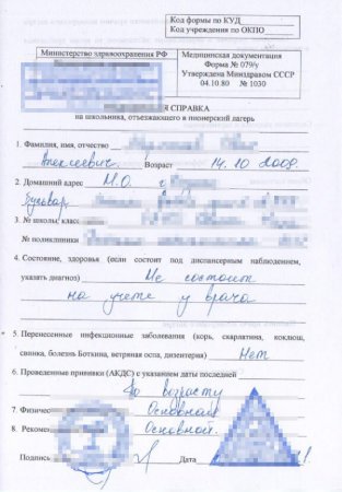 справка 079 у для лагеря образец 2025