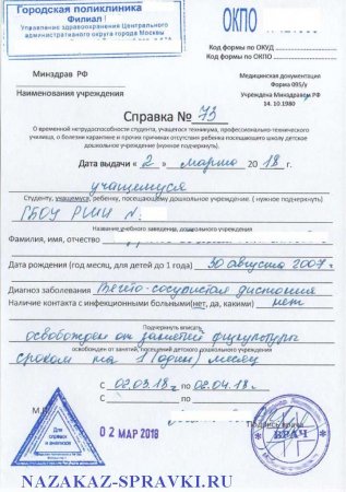 Справка 095/у образец